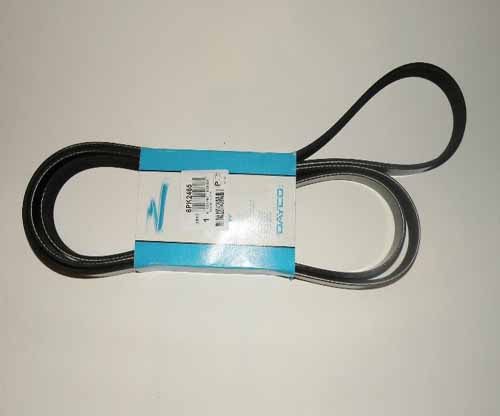 DRIVE BELT PRIMARY 5.0L DIS3+4 G-CAT          LR011345