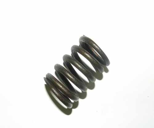 VALVE SPRING           ERR4640