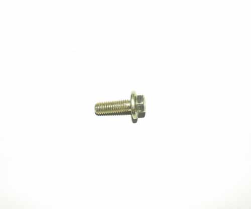 SCREW M6 X 1 X 22.5 HEX HEAD       6729404