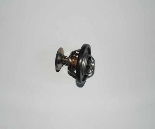 THERMOSTAT ENGINE 2.5L 4 CYLINDER 300 TDI        ERR3291G