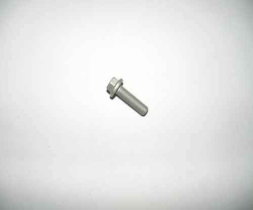 SCREW TRIM	FT110357