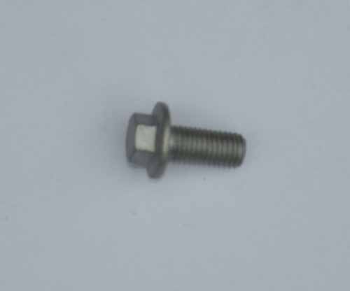 Screw M8 X 20MM Flanged Head       FS108207L