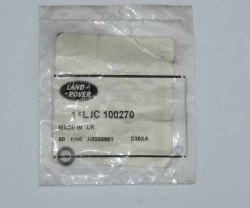 VALVE STEM CAP 2.25/2.5/2-300TDI – DEF-DISCO-1-R/R CLASSIC          LJC100270