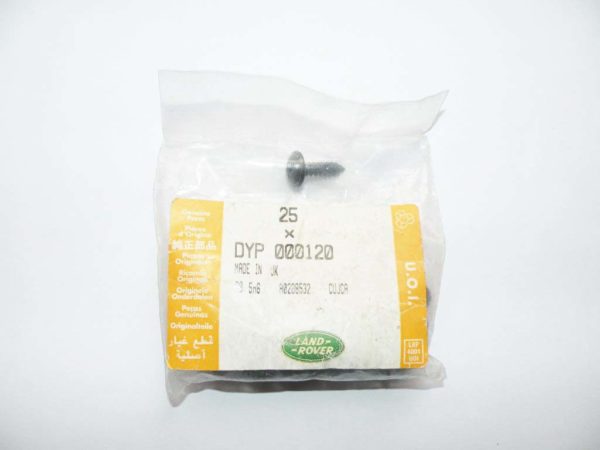 SCREW SELF TAPPING, FOR LICENSE PLATE DYP000120