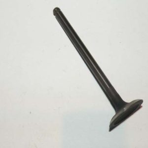 VALVE-CYLINDER HEAD INLET LGH10029L
