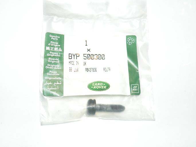 SCREW 25MM, SELF TAPPING, TORX, RETAINER SUN VISOR BYP500300