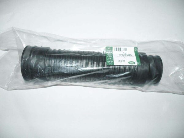 PHD103620