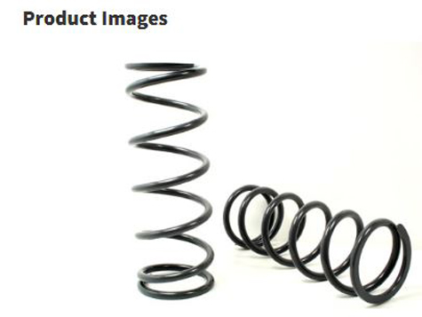 HEAVY LOAD SPRINGS REAR PAIR  TF038