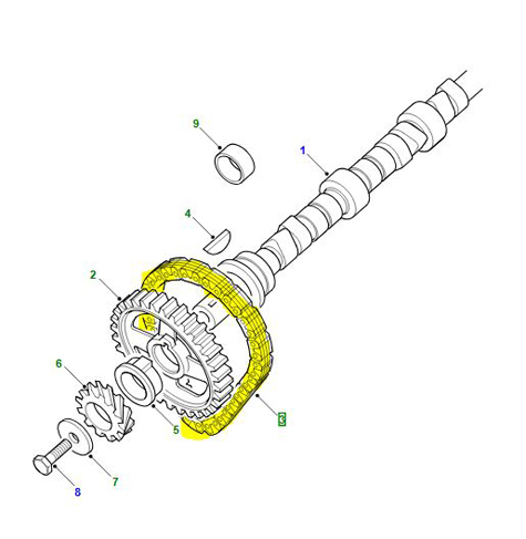 TIMING CHAIN V8 ERC7929